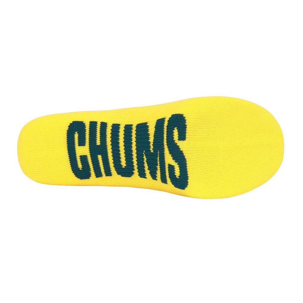 チャムス（CHUMS）（メンズ、レディース）デイソックス CH06-1146-Z418