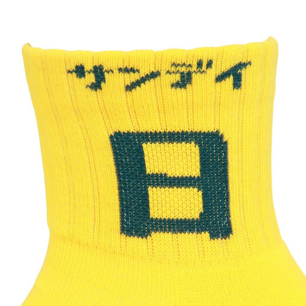 チャムス（CHUMS）（メンズ、レディース）デイソックス CH06-1146-Z418