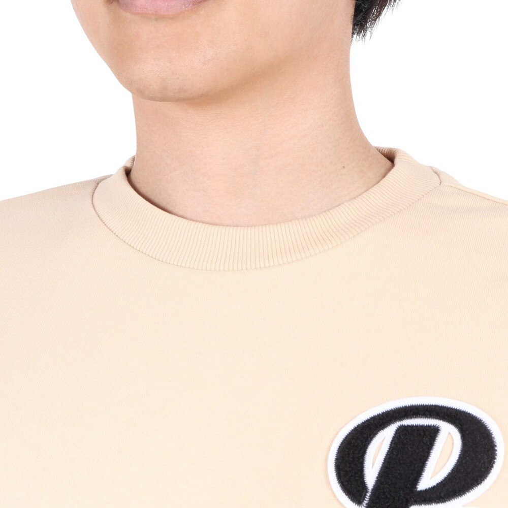 プーマ（PUMA）（メンズ）TEAM クルースウェット 539171 67 BEG