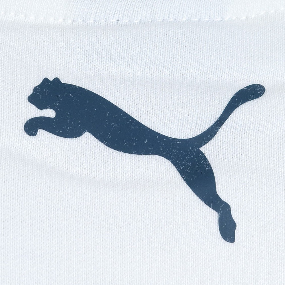 プーマ（PUMA）（メンズ）SUPER PUMA クルースウェット 674807 02 WHT