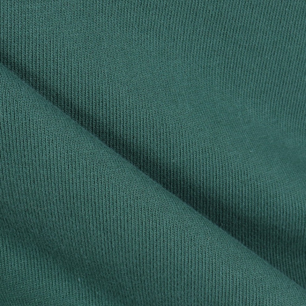 エクストララージ（XLARGE）（メンズ）HOCKEY クルーネック スウェット 101231012004-GREEN