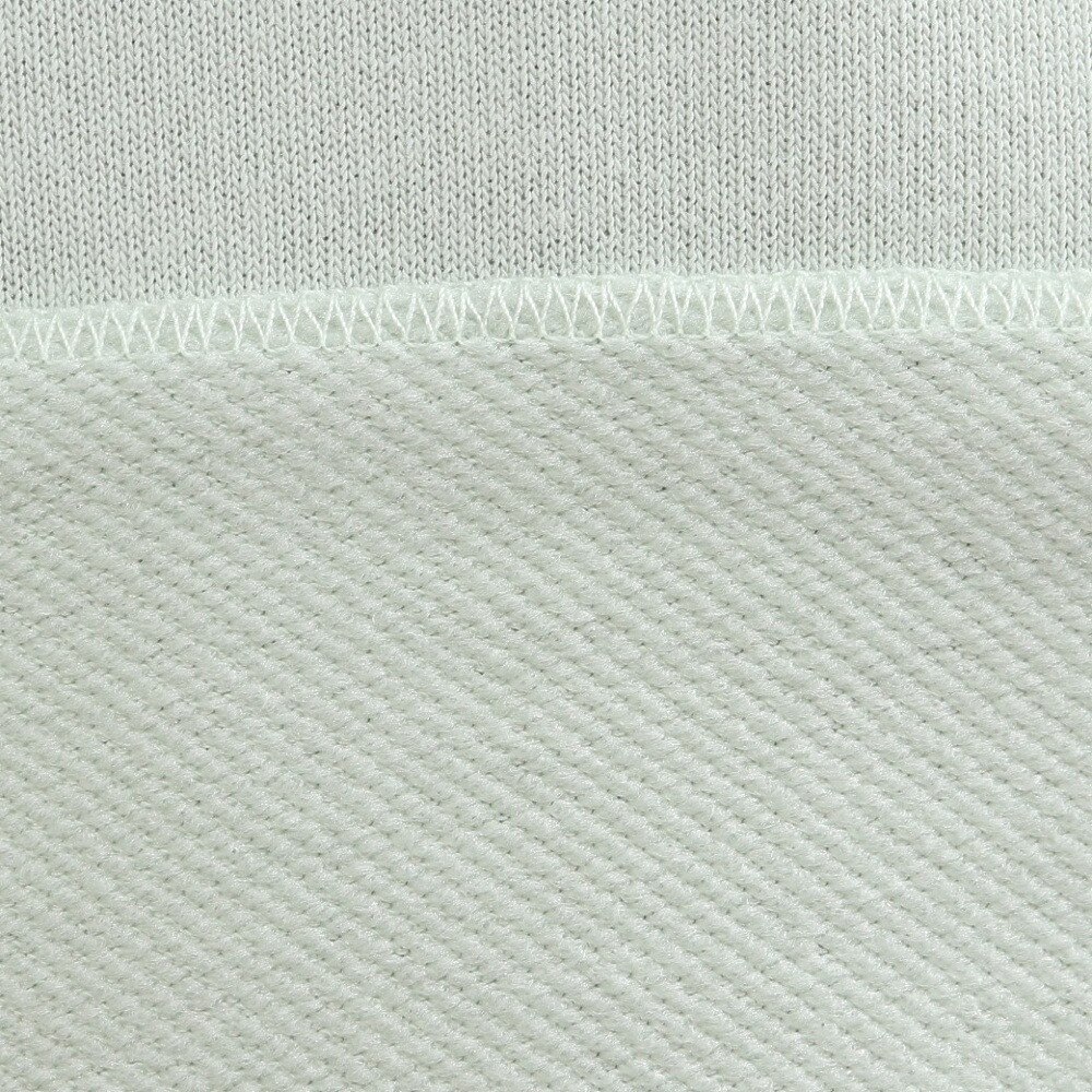 ラッセル（RUSSELL）（メンズ）コットンライク カレッジロゴスウェット RBM23ES0002 MINT