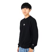 ニューエラ(NEW ERA)(メンズ、レディース)裏毛 スウェット クルーネック Flag Logo Mini 13755318