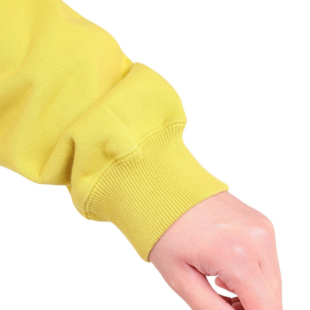 エクストララージ（XLARGE）（メンズ）スウェット メンズ スタンダード ロゴ クルーネック 101233012006-MUSTARD