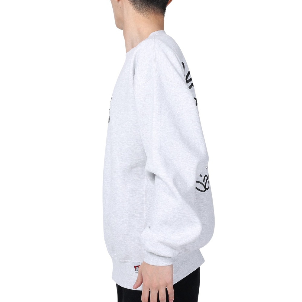ベンデイビス（BEN DAVIS）（メンズ）タギングロゴ クルーネック スウェット 24380005-06OAT