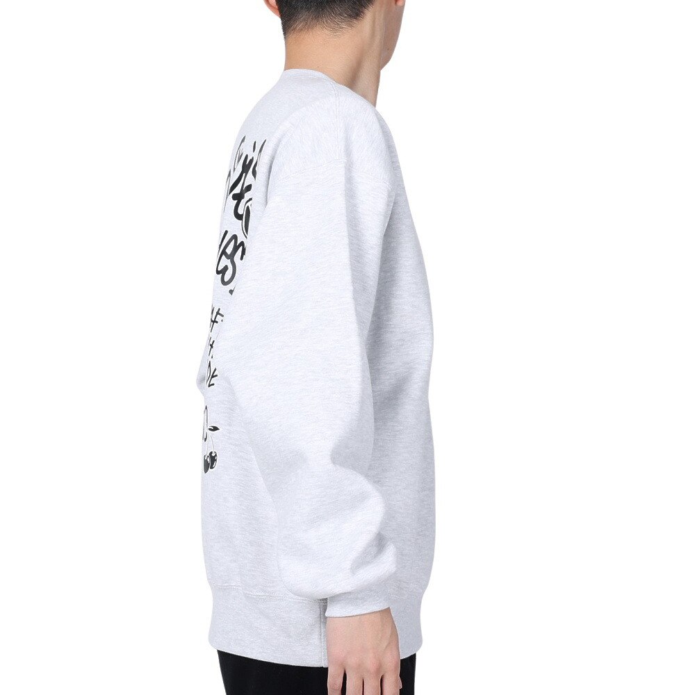 ベンデイビス（BEN DAVIS）（メンズ）タギングロゴ クルーネック スウェット 24380005-06OAT
