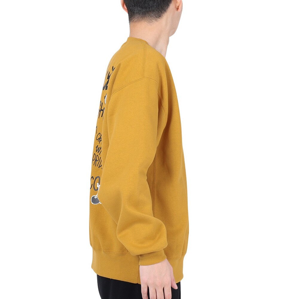 ベンデイビス（BEN DAVIS）（メンズ）タギングロゴ クルーネック スウェット 24380005-41MST