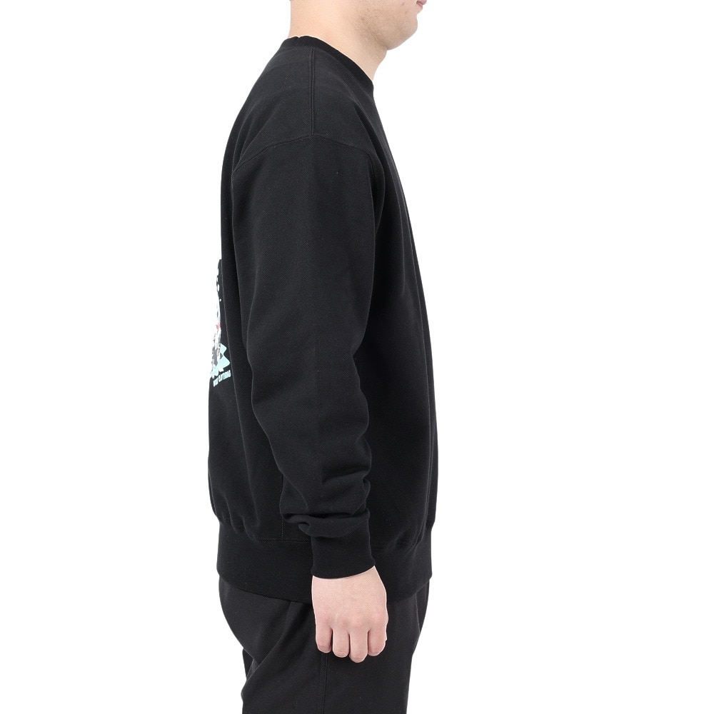 ベンデイビス（BEN DAVIS）（メンズ）WASHING A CAR クルーネック スウェット 24380014-01BLK