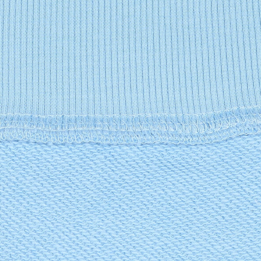 ラッセル（RUSSELL）（メンズ）T/C クルーネック スウェット RBM24ES0001 BLU