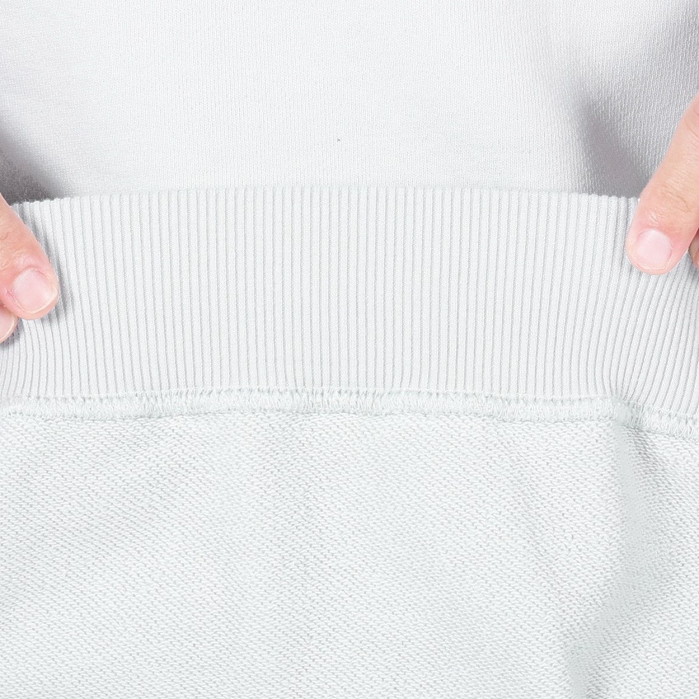 エクストララージ（XLARGE）（メンズ）SLANTED OG クルーネックスウェットシャツ 101241012002-GREY