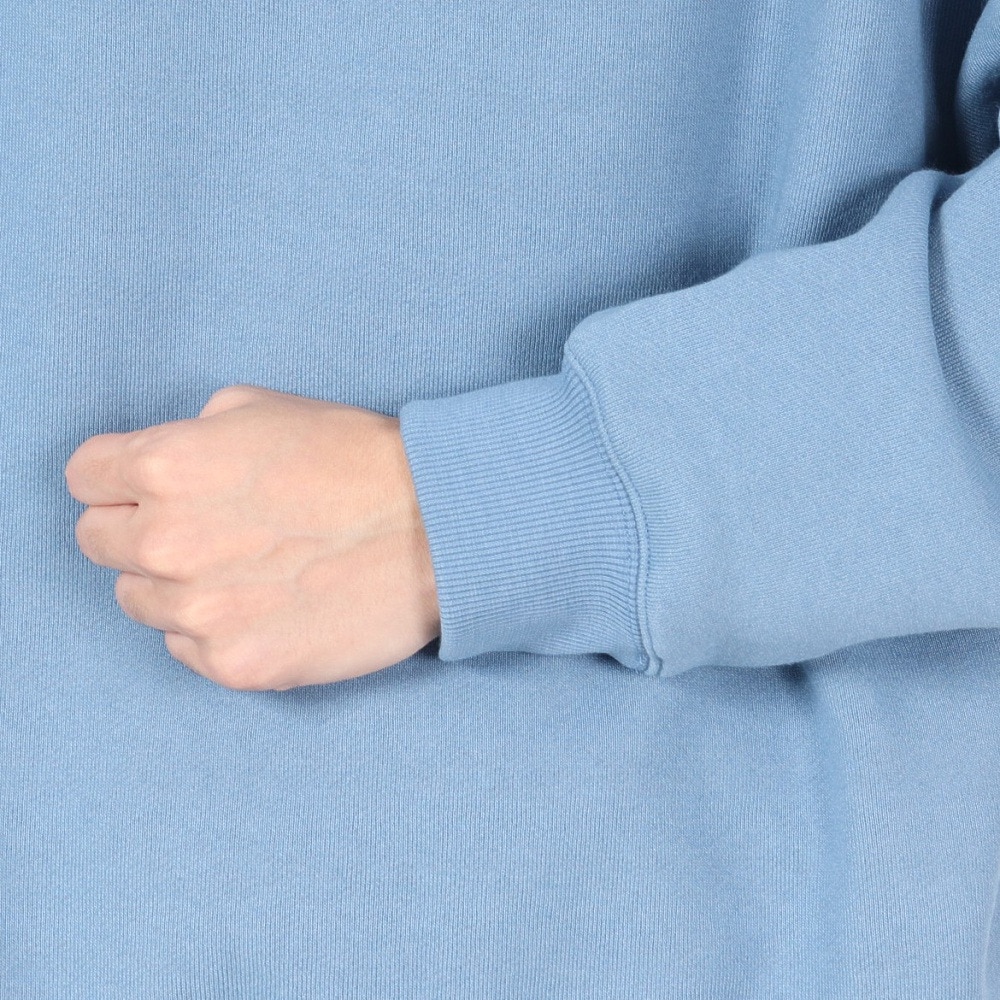 リーフ（REEF）（メンズ）AYESUNRAYS スウェットシャツ RFSWM2402-B.GRY