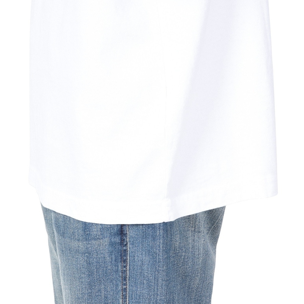 オベイ（OBEY）（メンズ）THE NATURE OF THINGS HEAVYWEIGHT 長袖Tシャツ 167103929WHT