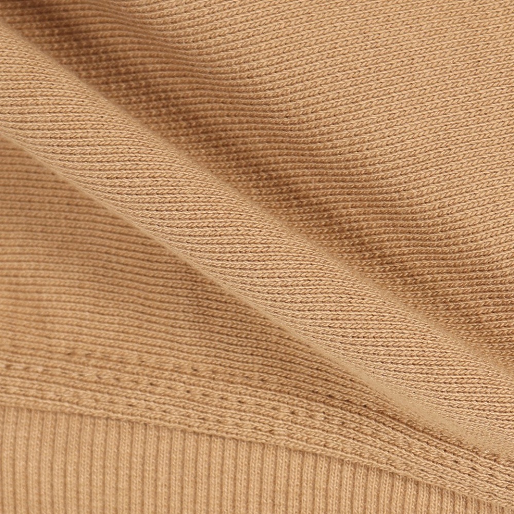 カーハート（CARHARTT）（メンズ）アメリカン スクリプト スウェットシャツ I0254752FSXX24FW