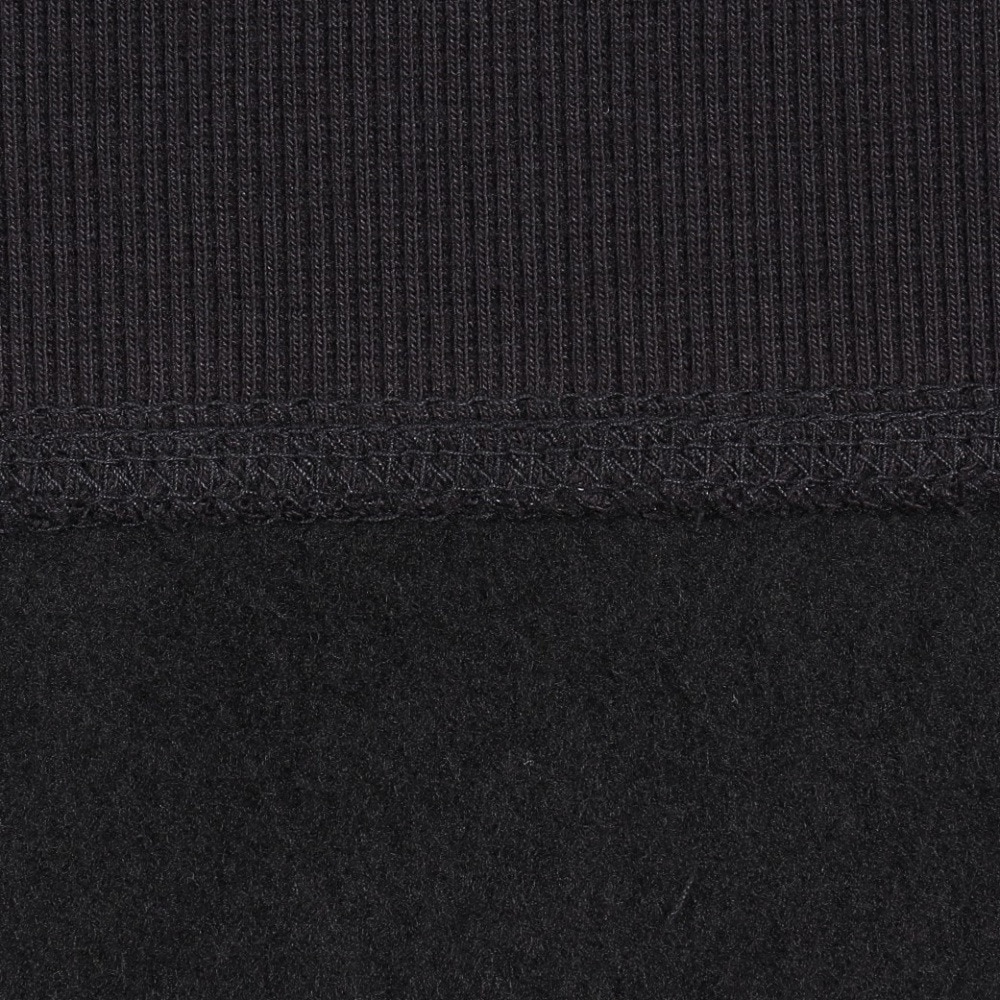 カーハート（CARHARTT）（メンズ）アメリカン スクリプト スウェットシャツ I02547589XX24FW