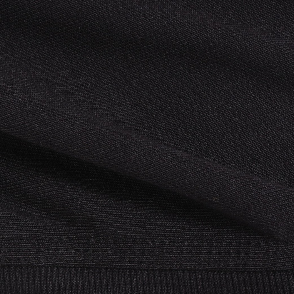 カーハート（CARHARTT）（メンズ）アメリカン スクリプト スウェットシャツ I02547589XX24FW