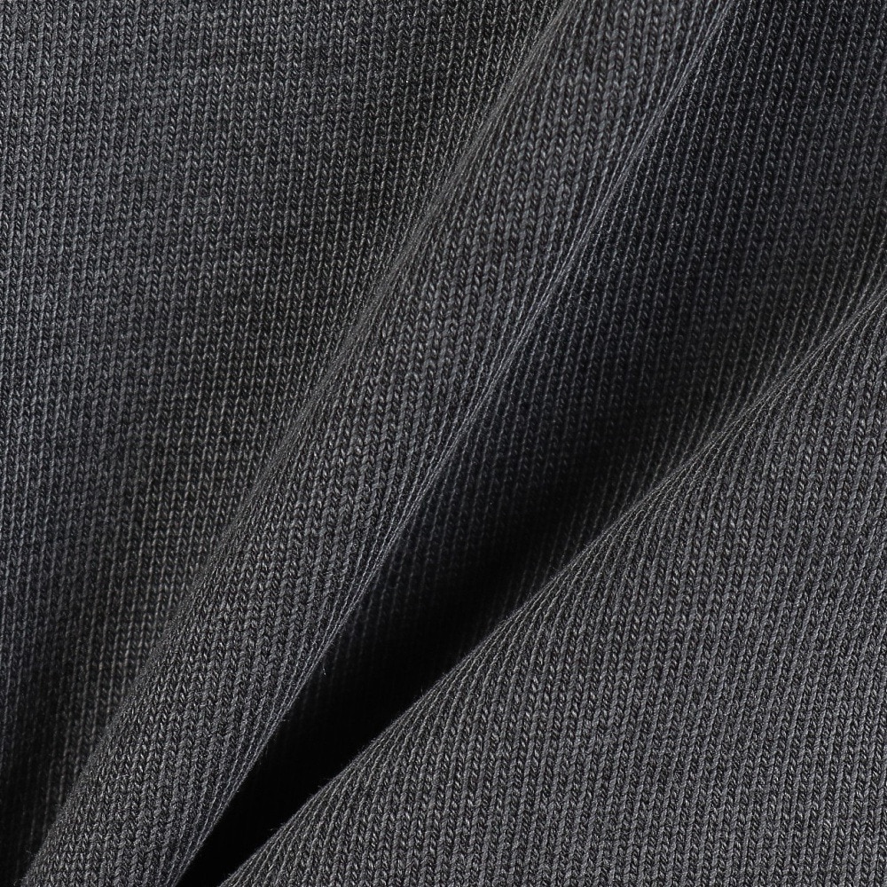 カーハート（CARHARTT）（メンズ）フェルトスクリプトスウェットシャツ I03404100EGD24FW