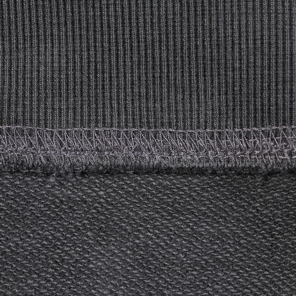 カーハート（CARHARTT）（メンズ）フェルトスクリプトスウェットシャツ I03404100EGD24FW