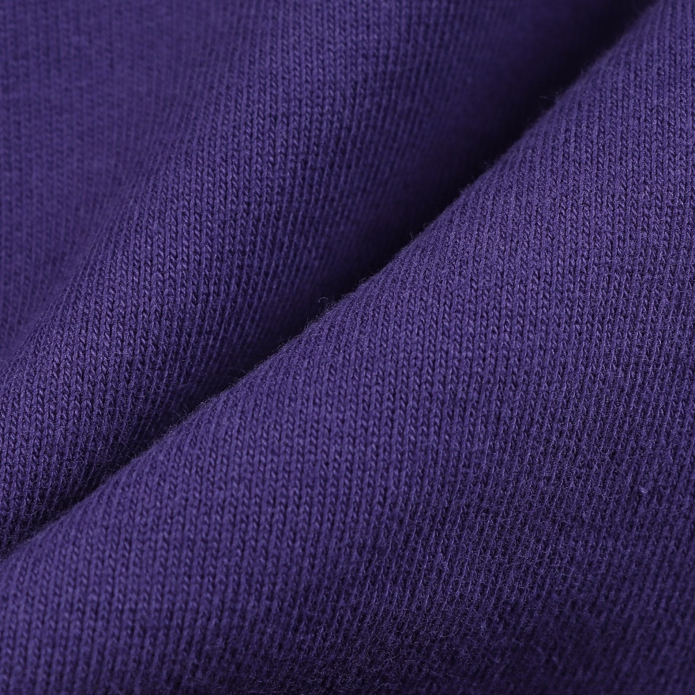エクストララージ（XLARGE）（メンズ）OLD OG クルーネック スウェットシャツ 101253012002-PURPLE