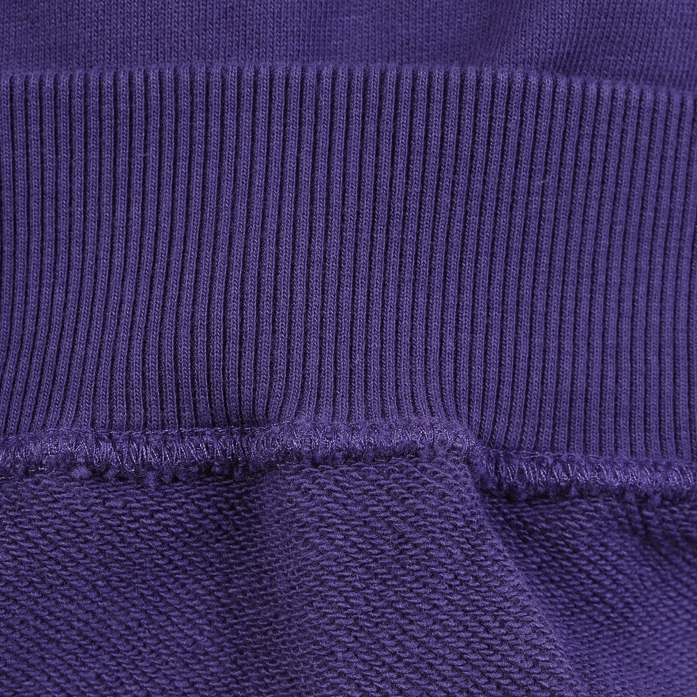 エクストララージ（XLARGE）（メンズ）OLD OG クルーネック スウェットシャツ 101253012002-PURPLE