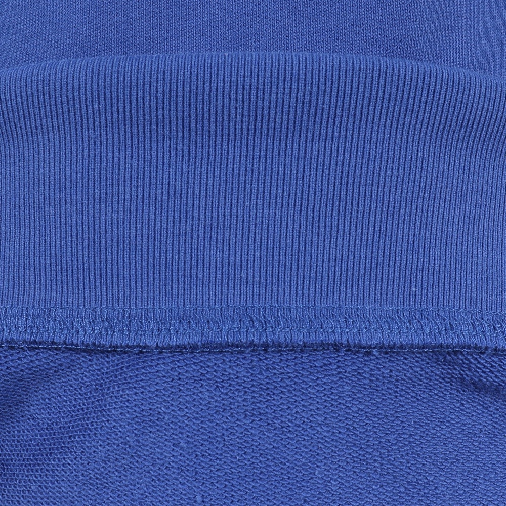 ラッセル（RUSSELL）（メンズ）C100 ラグラン ワイド スウェットシャツ RBM25F0011 BLU