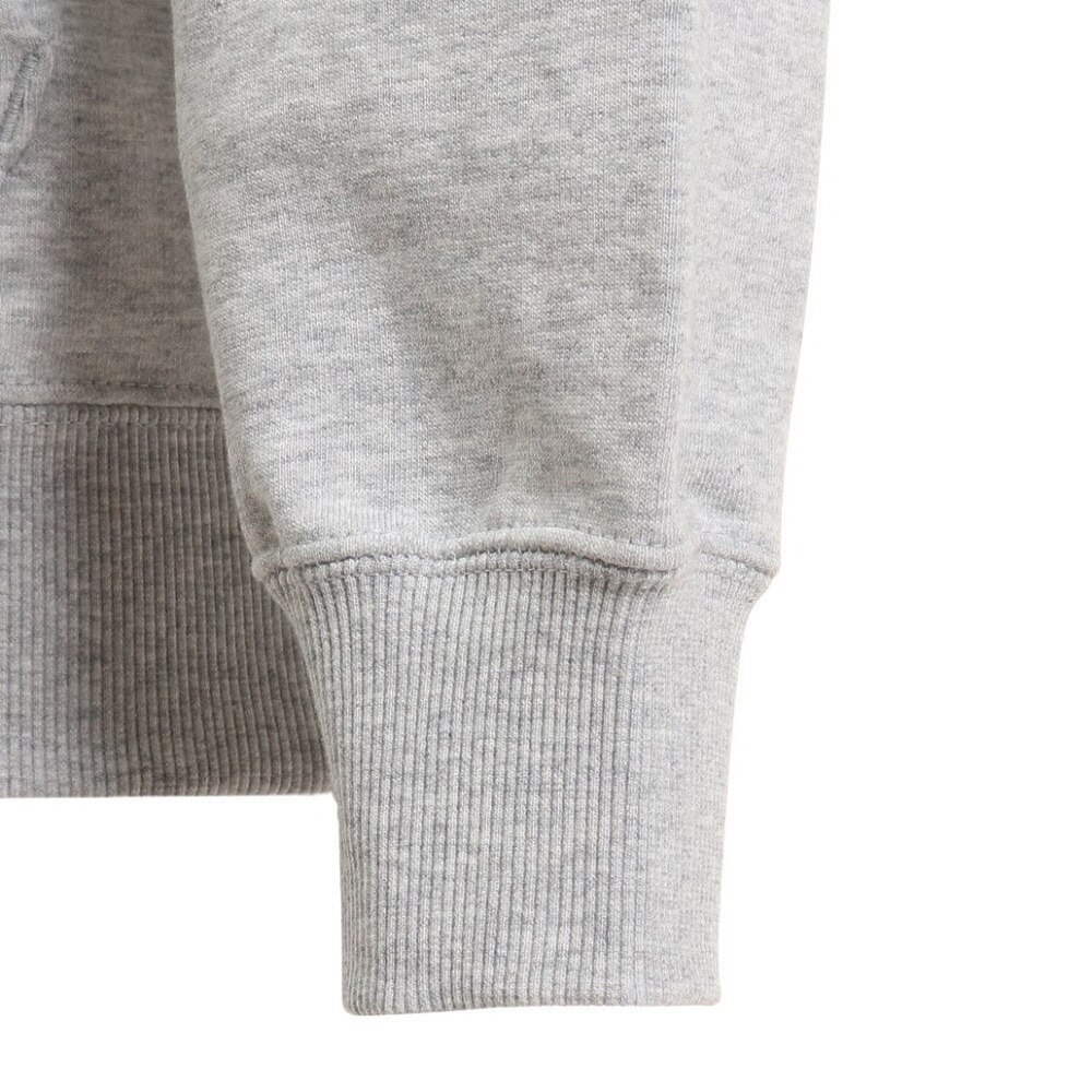 プーマ（PUMA）（メンズ）TEAM フーディー 539170 04 LGRY