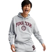 プーマ（PUMA）（メンズ）TEAM フーディー 539170 04 LGRY