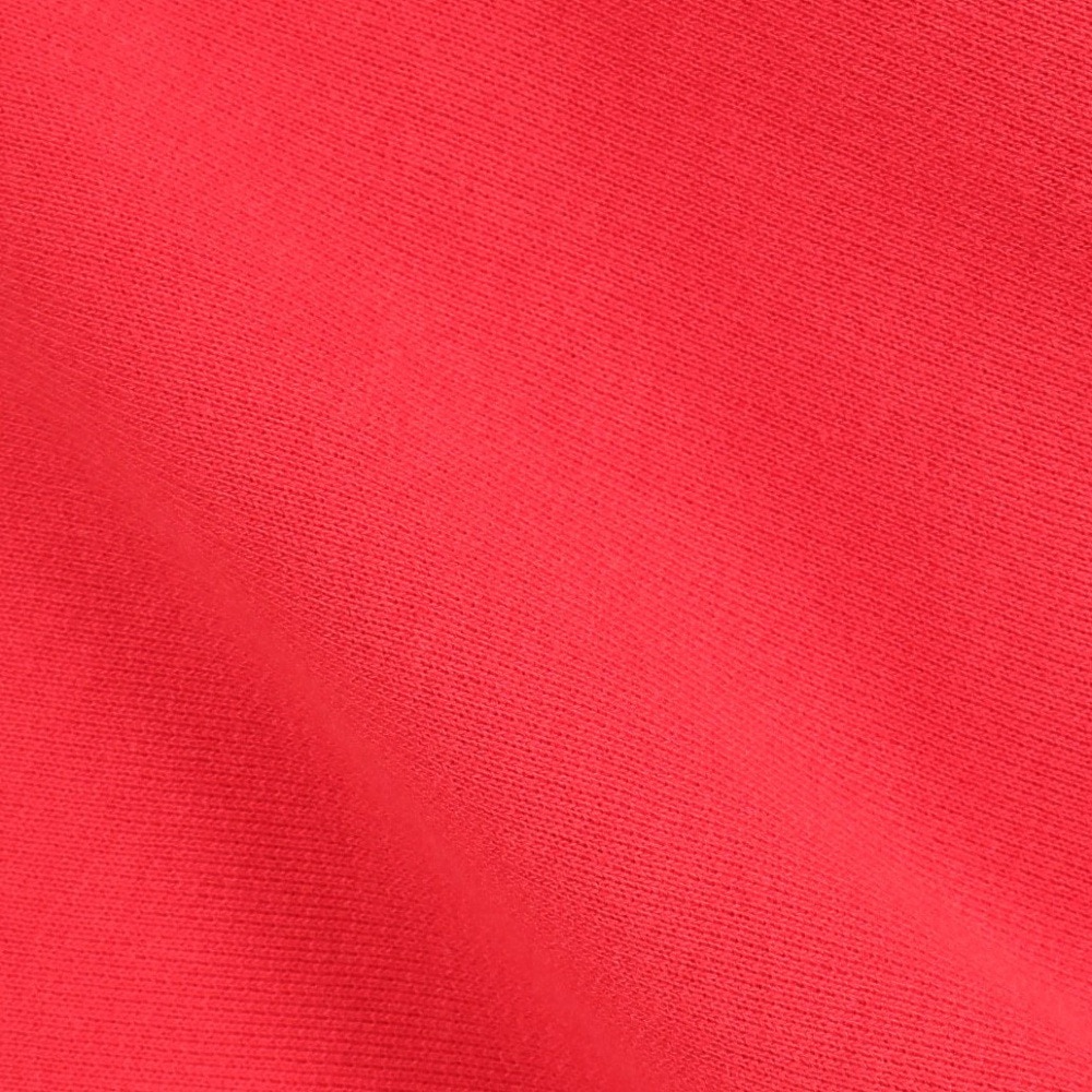 チャンピオン-ヘリテイジ（CHAMPION-HERITAGE）（メンズ）TA リバースウィーブ COLLEGE GR フーデッドスウェットシャツ C3-S122 947