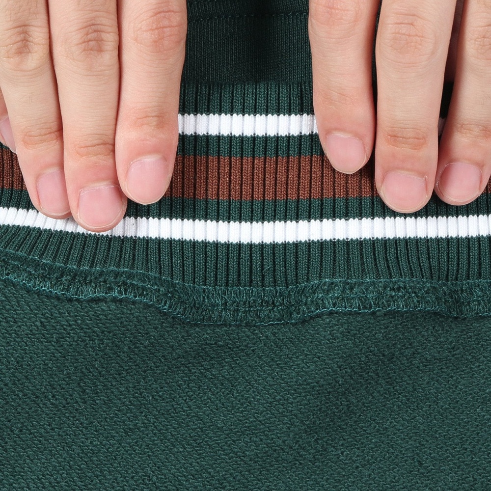 エクストララージ（XLARGE）（メンズ）STRIPED RIB スウェットフーディー 101234012006-GREEN