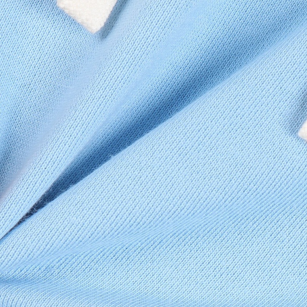 ラッセル（RUSSELL）（メンズ）パーカー T/C フーディー RBM24ES0002 BLU