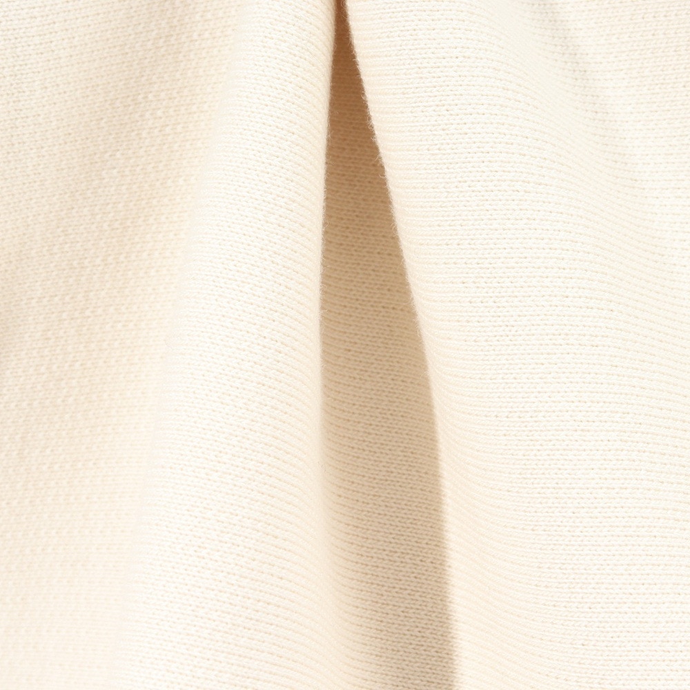 カーハート（CARHARTT）（メンズ）アメリカンスクリプトフーデッドスウェット I02827905XX