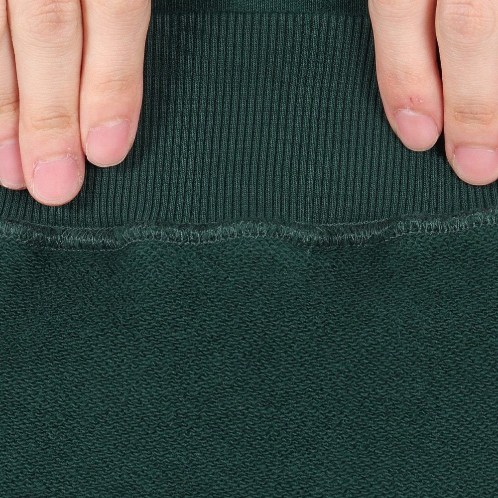 エクストララージ（XLARGE）（メンズ）ROPE ロゴ フーディースウェット 101244012006-GREEN