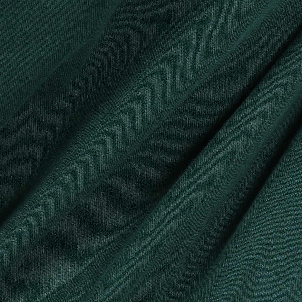 エクストララージ（XLARGE）（メンズ）ROPE ロゴ フーディースウェット 101244012006-GREEN
