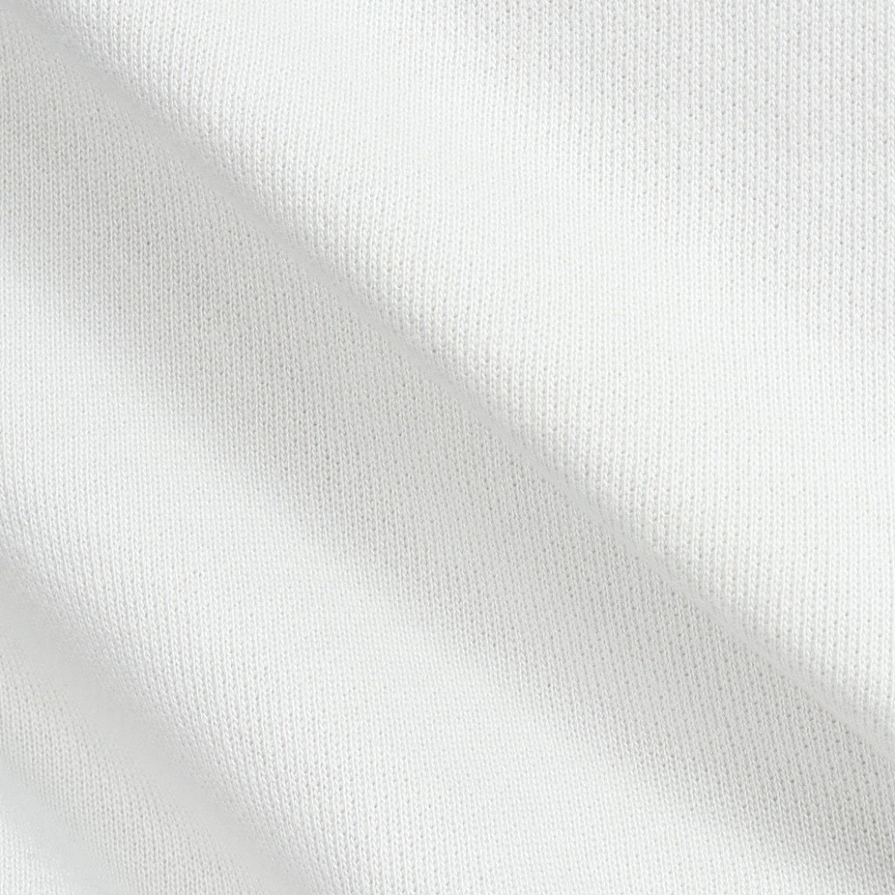エクストララージ（XLARGE）（メンズ）ARCH ロゴ ハーフジップスウェット 101244012008-GREY