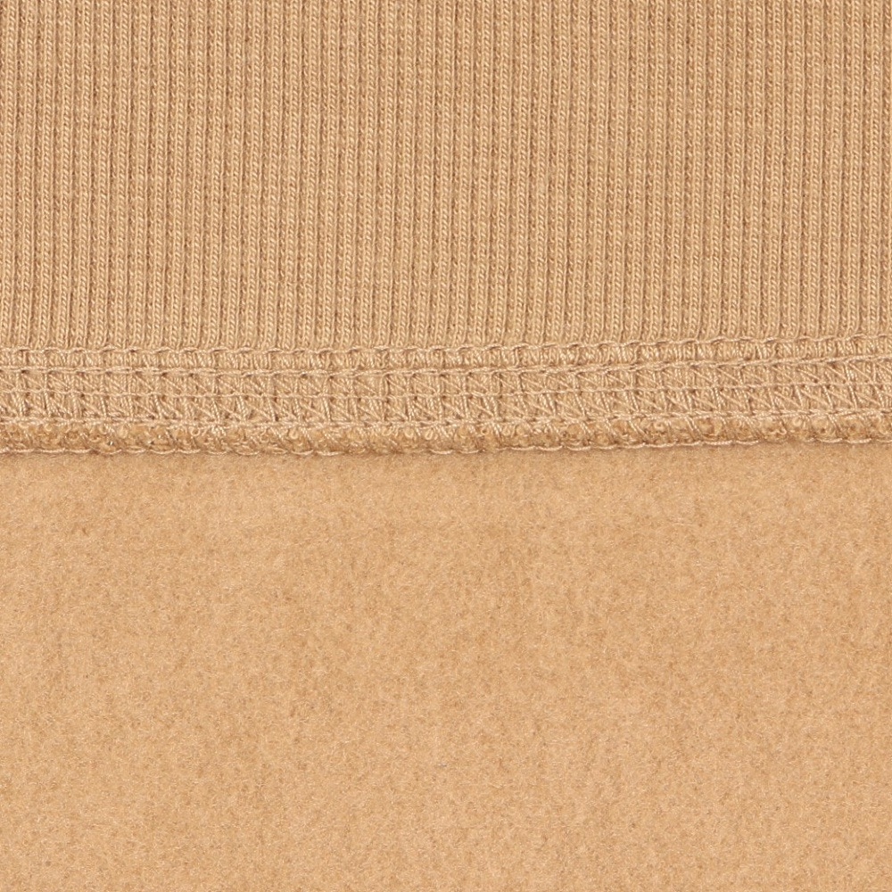 カーハート（CARHARTT）（メンズ）ハーフジップ アメリカン スクリプト スウェットシャツ I0270142FSXX24FW