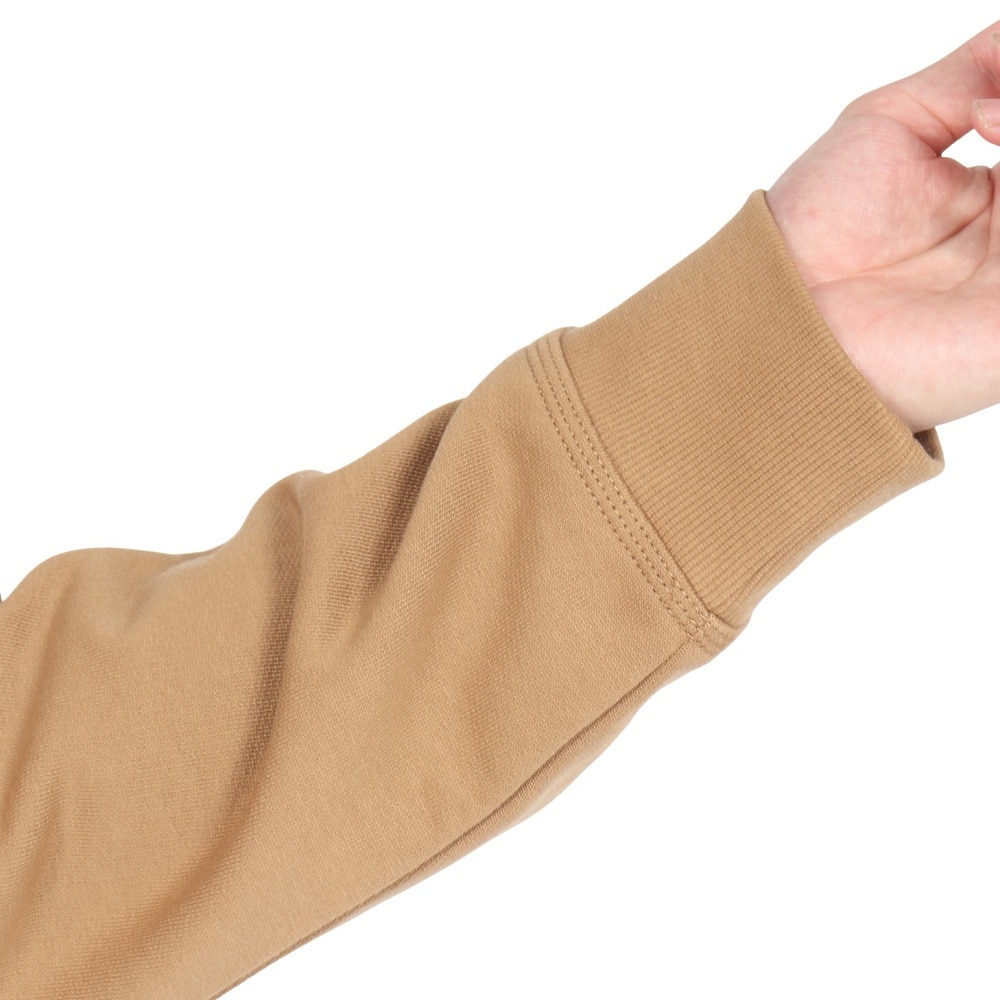 カーハート（CARHARTT）（メンズ）ハーフジップ アメリカン スクリプト スウェットシャツ I0270142FSXX24FW