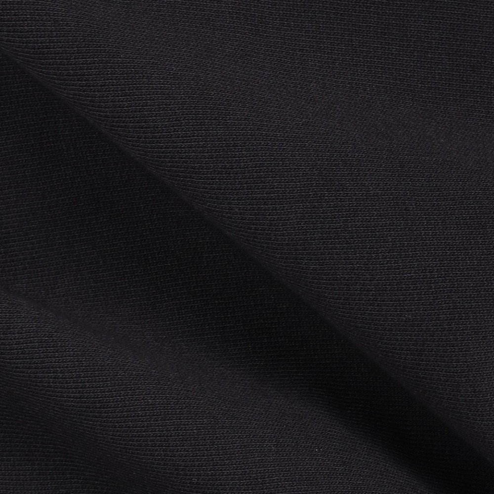 カーハート（CARHARTT）（メンズ）ハーフジップ アメリカンスクリプト スウェットシャツ I02701489XX24FW
