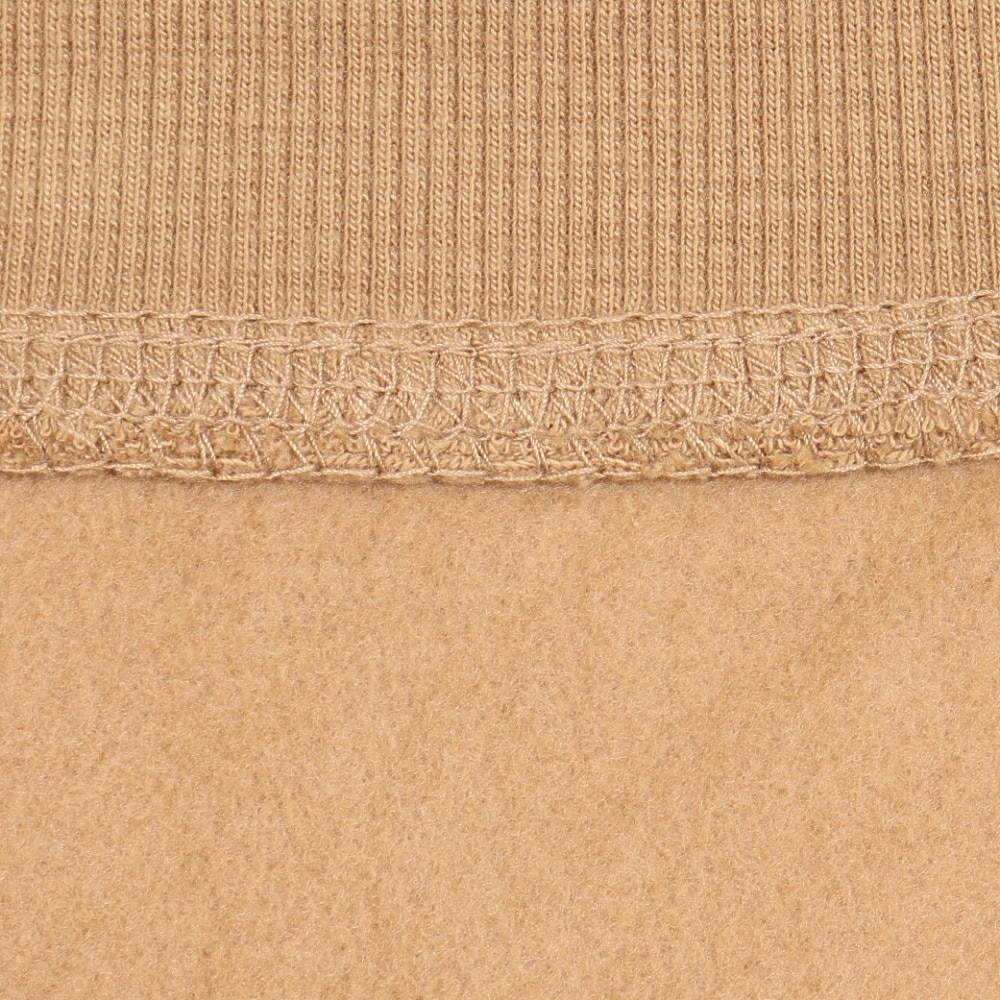 カーハート（CARHARTT）（メンズ）フーデッド アメリカン スクリプト スウェットシャツ I0282792FSXX24FW