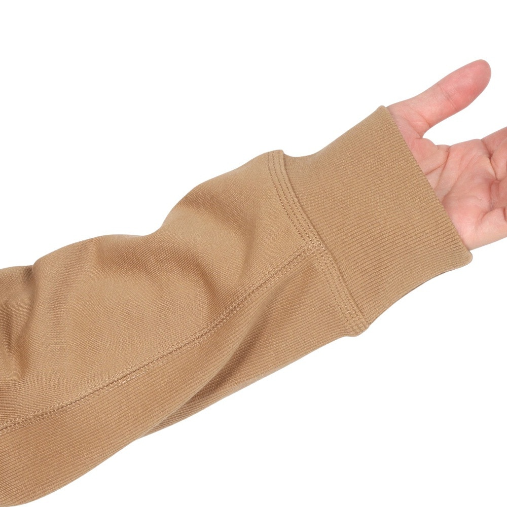 カーハート（CARHARTT）（メンズ）フーデッド アメリカン スクリプト スウェットシャツ I0282792FSXX24FW