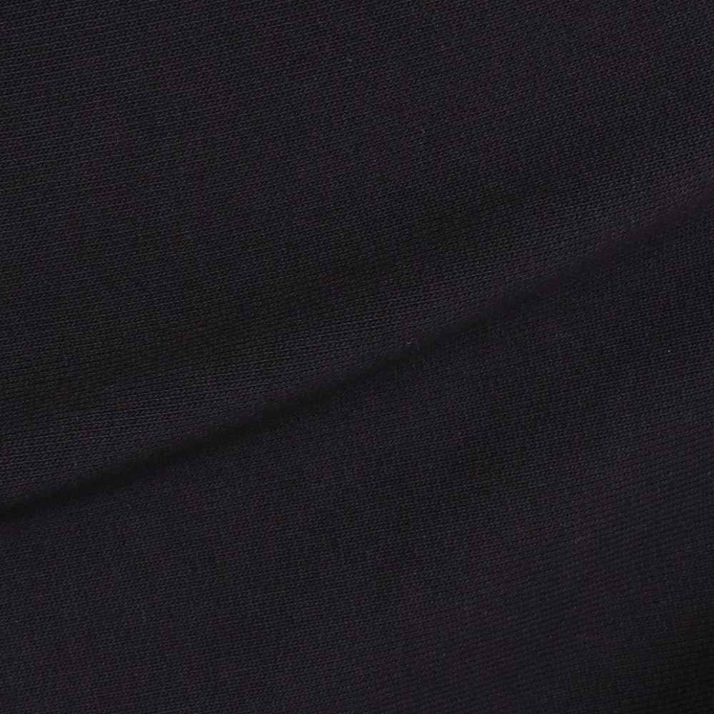 カーハート（CARHARTT）（メンズ）フーデッド アメリカンスクリプト スウェットパーカー I02827989XX24FW