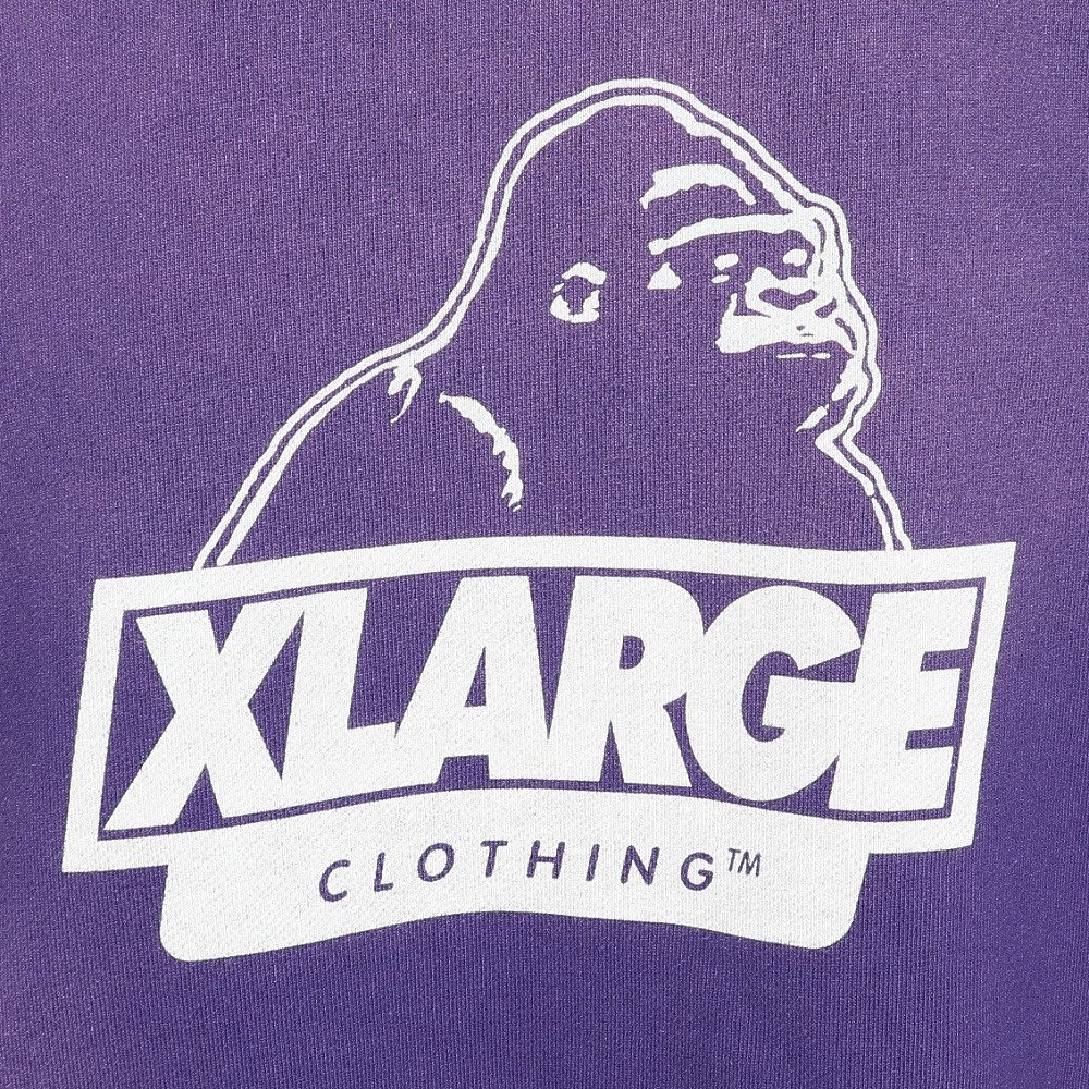 エクストララージ（XLARGE）（メンズ）DISCHARGE PRINTED SLANTED