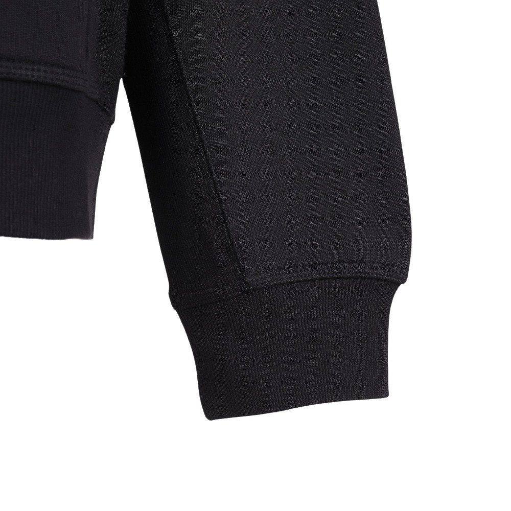 カーハート（CARHARTT）（メンズ）フーデッド アメリカン スクリプト パーカー I03306389XX25FW