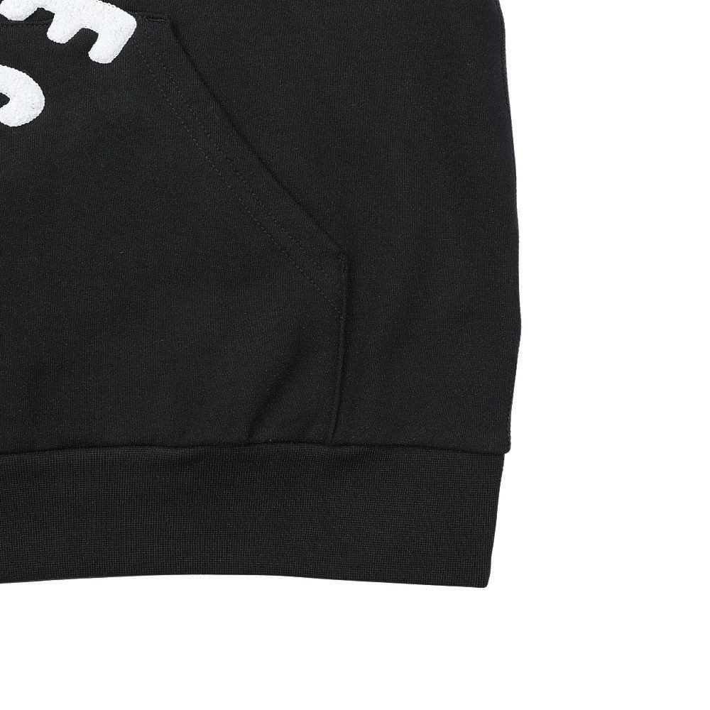 ナイキ（NIKE）（メンズ）SB ROLLING BB フリースパーカー IF0656-010