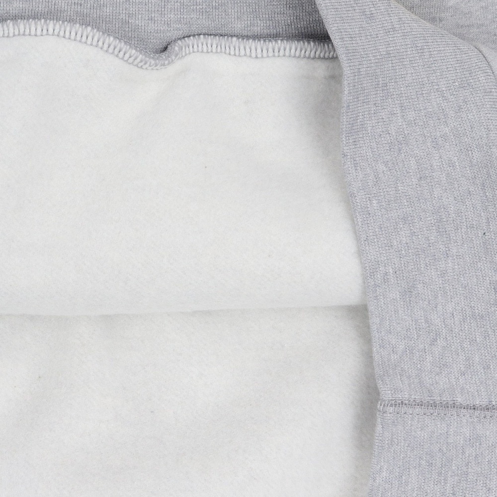 ナイキ（NIKE）（メンズ）SB ROLLING BB フリースパーカー IF0656-012