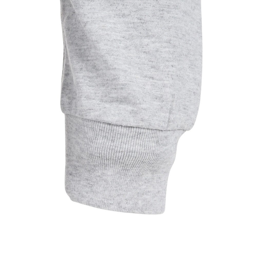 Hanes（メンズ）Tシャツ メンズ 長袖 ロンT ビーフィー BEEFY クルーネック グレー 無地T 定番 長持ち H5186 060 
