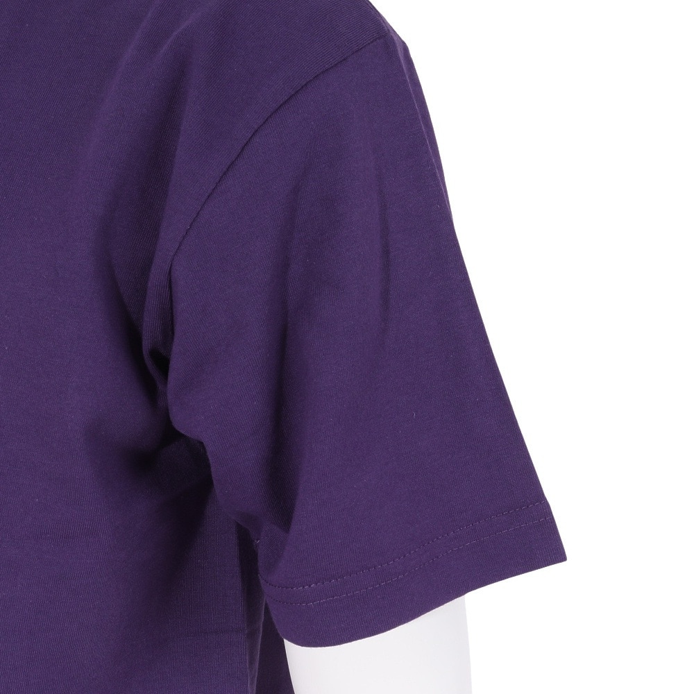 ヘインズ（Hanes）（メンズ）Tシャツ メンズ ビーフィー BEEFY 半袖 クルーネック パープル 紫 無地T 定番 長持ち H5180 270 