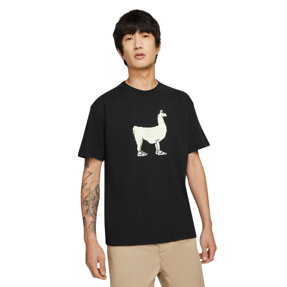  SB スケートボード Tシャツ DD1299-010 半袖