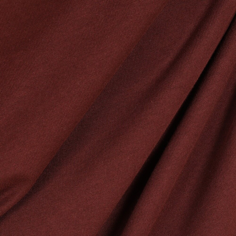 カーハート（CARHARTT）（メンズ）長袖 AMERICAN SCRIPT Tシャツ I0299550EGXX21F