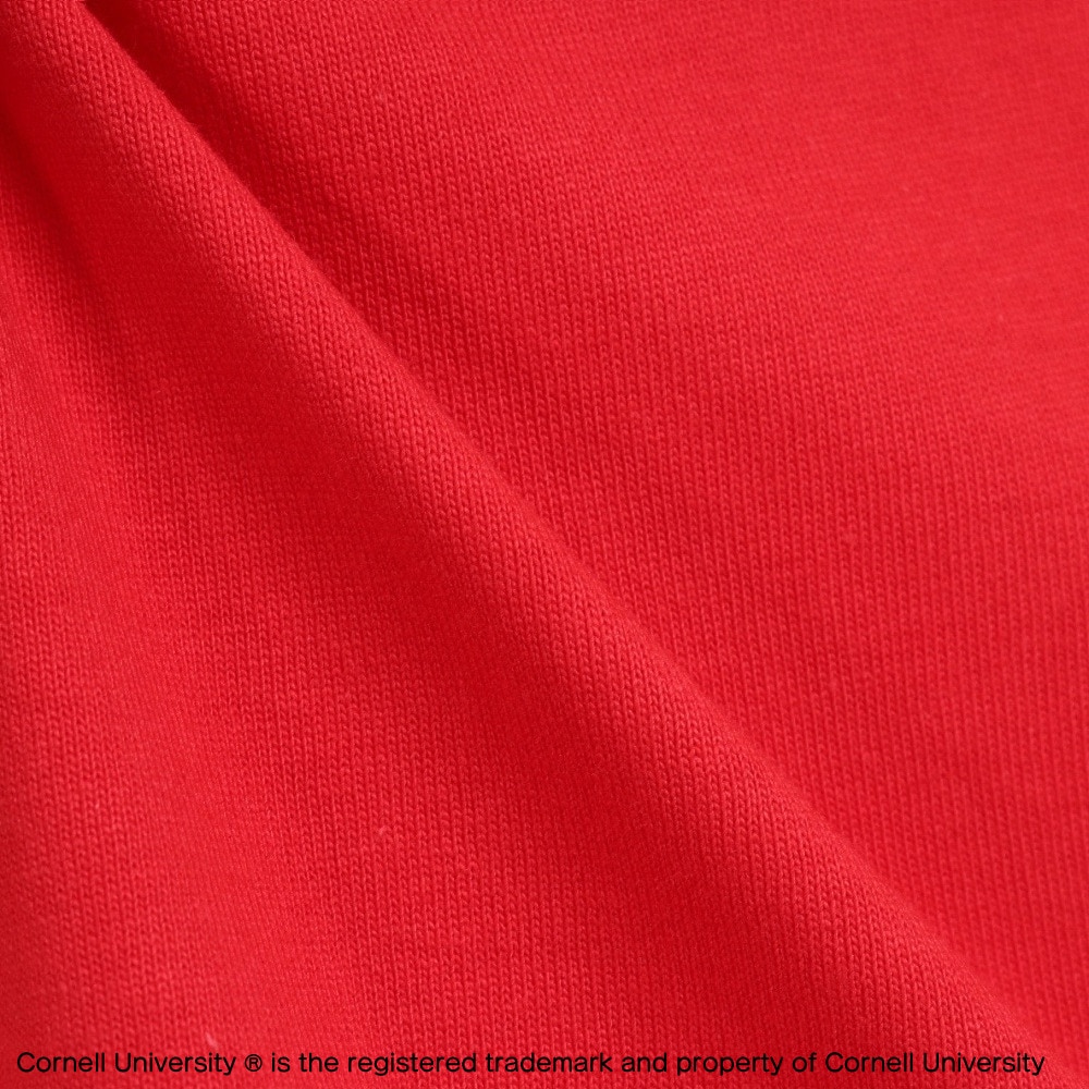 チャンピオン-ヘリテイジ（CHAMPION-HERITAGE）（メンズ）TRUE TO ARCHIVES 1/4スリーブフットボールTシャツ C3-R339 947
