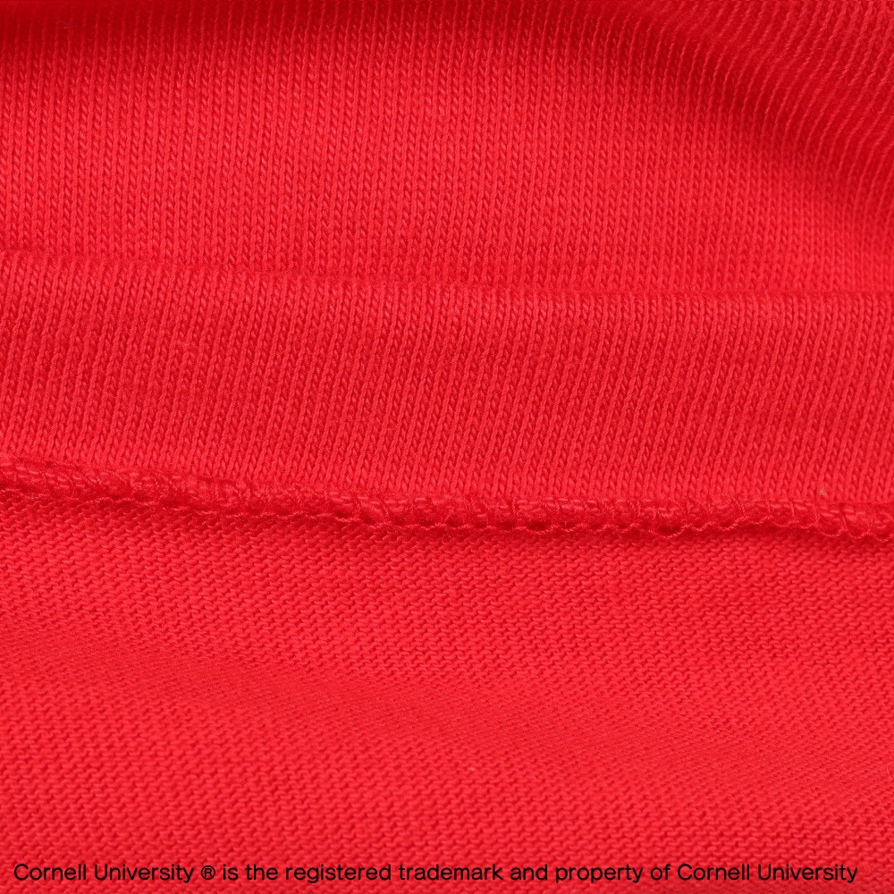 チャンピオン-ヘリテイジ（CHAMPION-HERITAGE）（メンズ）Tシャツ 七分袖 TRUE TO ARCHIVES 3/4スリーブフットボールTシャツ ヘビーウェイト 綿100% C3-R413 947