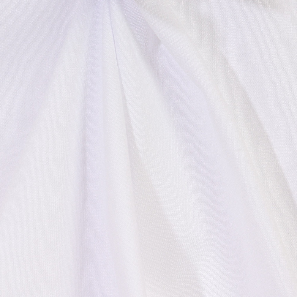 BEN DAVIS（メンズ）半袖Tシャツ メンズ アイコンバックプリント 23580005-WHT